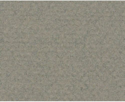 Canson Canson Cardboard Gray 50x65cm