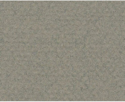 Canson Canson Cardboard Gray 50x65cm