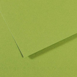 Canson Canson Cardboard A4 Green