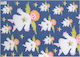 Heyda Diverse Kartons Kein Muster Mehrfarbig 50x70cm