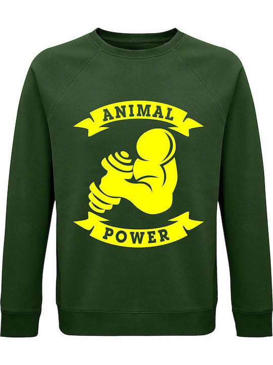 Animal Sweatshirt Green