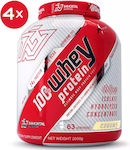Immortal Nutrition 100% Whey Protein Whey Protein with Flavor Creamy 8kg
