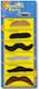 6 Mustach / Beard for Carnival 6pcs (Μiscellaneous Designs)