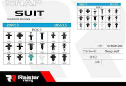 Raistar Raistar Car Plastic Clips 299 Pieces