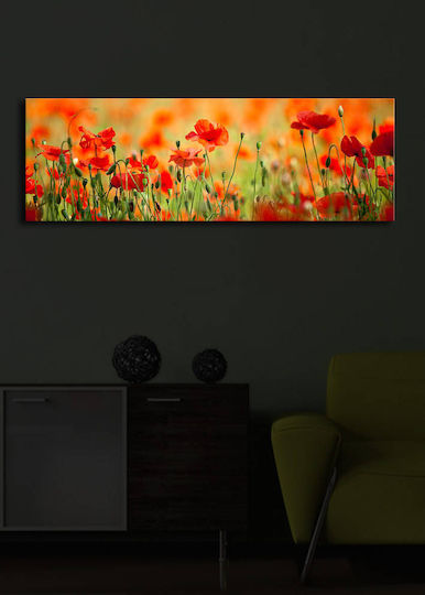 Tablou pe Pânză cu iluminare LED 90x90cm