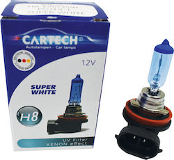 Cartech Λάμπα H8 Αλογόνου Λευκό Cartech Λάμπα H8 Αλογόνου Λευκό
