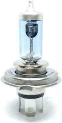 Trifa Lamp H4 Halogen