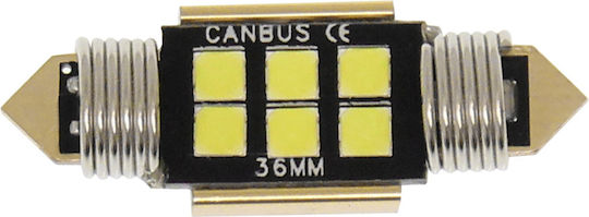 Carsun Λάμπα C5W Canbus LED 6500K Ψυχρό Λευκό 12V 1τμχ