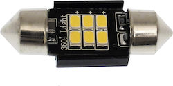 Carsun Lampe C5W LED Kaltes Weiß Carsun Lampe C5W LED Kaltes Weiß