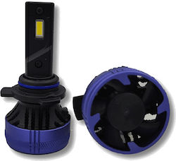 Heleco VL-7 Lamps H7 LED Cold White 2pcs Heleco VL-7 Lamps H7 LED Cold White 2pcs