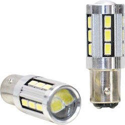 Vecta Lamps Car & Motorcycle P21/5W-BAY15D-1157 Canbus LED White 18V 2pcs