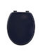 Eurocasa Plastic Toilet Seat Blue