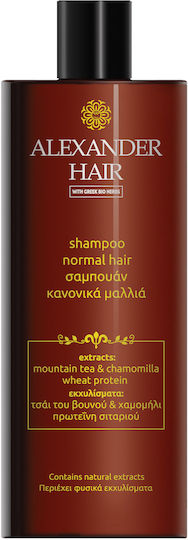 Σαμπουάν 500ml