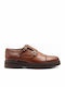 Sneakers Tabac Brown