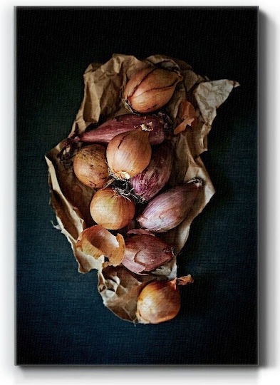 Walls Onions In Paperbag Painting on Canvas 40x50cm