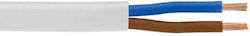 Redled Cablu De Alimentare Cu Diametru 2x1.5mm² Alb 1m 07744 Redled Cablu De Alimentare Cu Diametru 2x1.5mm² Alb 1m 07744