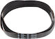 50011966 Replacement Belt for Washing Machine Clothes