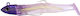 Hunthouse Jelly Series LW216 Artificial Bait 12...