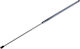 Magneti Marelli Trunk Shock for Ford Transit