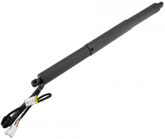 Trunk Shock for BMW X5