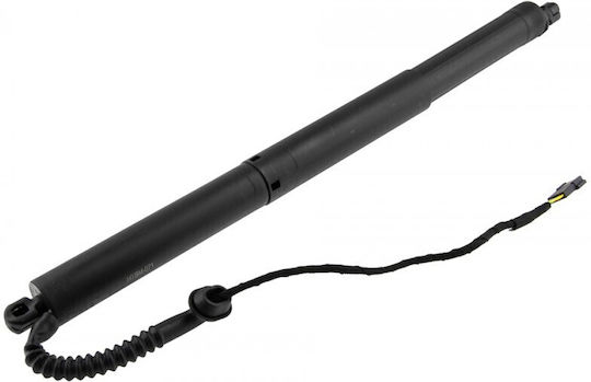 Trunk Shock for BMW X5