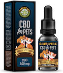 Hemp Products (Cbd) Oil for Dogs and Cats 10ml