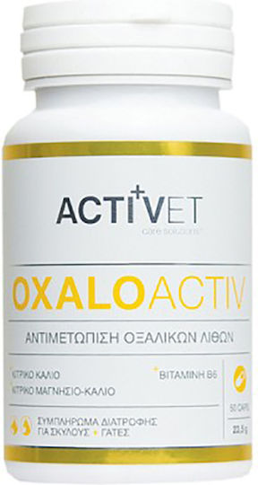 Activet Multivitamins for Dogs in Tablets for Urinary/Kidney