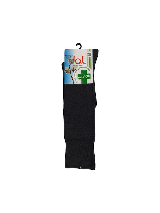 Dal Socks Gray