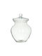 Click Vaza Uz General cu capac Sticlă Transparent 20x20x28cm