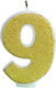 Ginger Ray Birthday Candle Number "9" in Gold Color PM-966