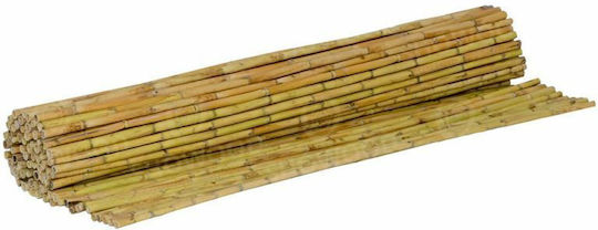 Showood Bambuszaun mit Ganzes Schilf 1x3m