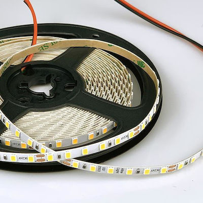 Eurolamp Bandă LED Alimentare 24V cu Lumină Alb Rece Lungime 5m și 120 LED-uri pe Metru SMD2835