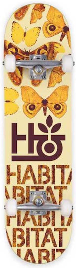 Habitat Complet Placă scurtă Portocaliu
