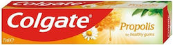 Colgate Propolis Toothpaste 75ml