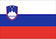 Знаме на Словения Полиестер 100x70см
