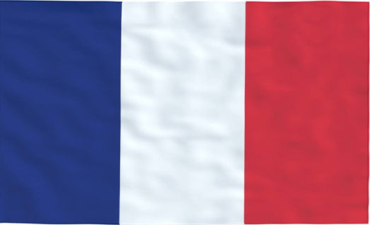 Flag of France Polyester Perforated with a stake 25x18cm