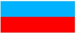 Flagge Russlands 50x35cm