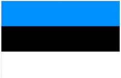 Flag of Estonia 150x95cm