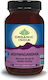 Organic India Ashwagandha 90 φυτικές κάψουλες