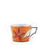 Richard Ginori Set of Cups Tea Porcelain Orange 2pcs
