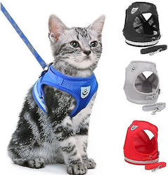 Animal Blue Animal Blue