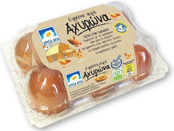 CHrysa Ayga Barn Eggs 6 Pack 53-63g (M)