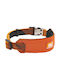 S Hundehalsband in Orange Farbe 15mm