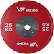 Viking Δίσκος Μεταλλικός 1 x 25kg