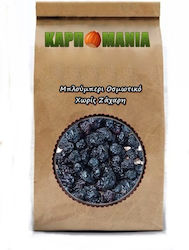 Karpomania Blueberries Χωρίς Ζάχαρη 350gr