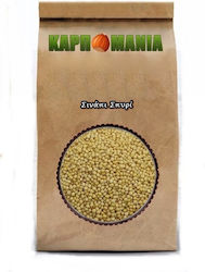 Karpomania Mustard Seed K- 11776 -a 50gr