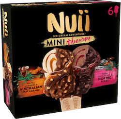 Nui Παγωτό Mini Salted Caramel & Nordic Berry 6x55ml 253gr