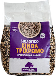 Evergreen Organics Kinoa Τρίχρωμη Βιολογική 300gr