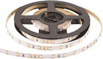 Adeleq LED Strip Power Supply 24V RGB Length 5m and 36 LEDs per Meter