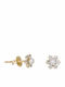Gold Studs Kids Earrings 9K